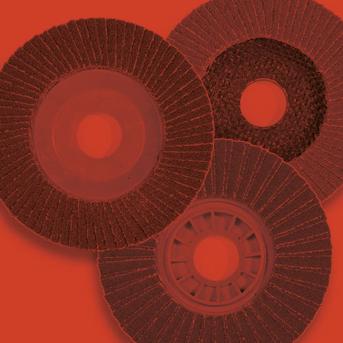 Flap discs